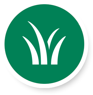Lawn Care in Spokane, WA / Post Falls, ID